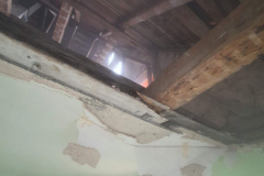 20200704_142304-scaled