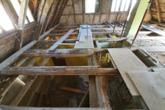 20200704_171438-scaled