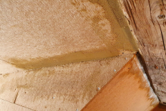 20210116_145733-scaled